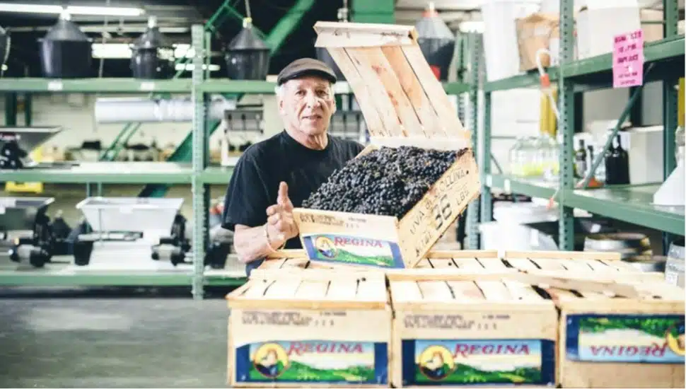 Lenny Procacci inside warehouse with boxes full of wine grapes.