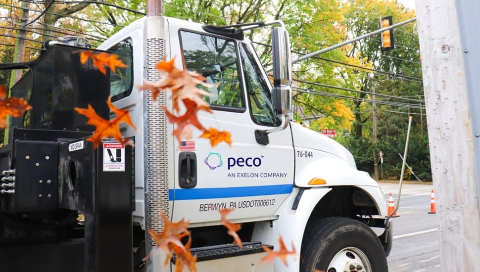 Utility truck seen through leaves.