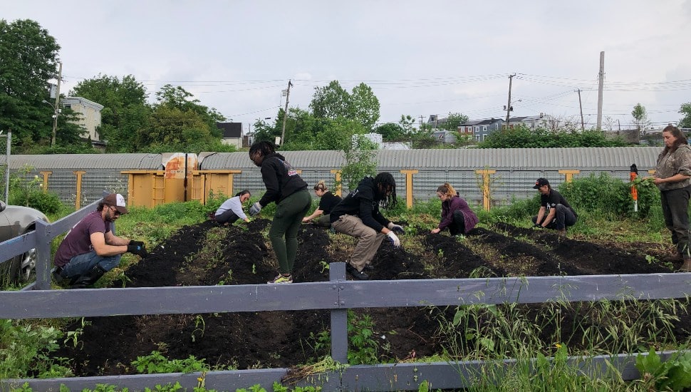 People working in a garden.