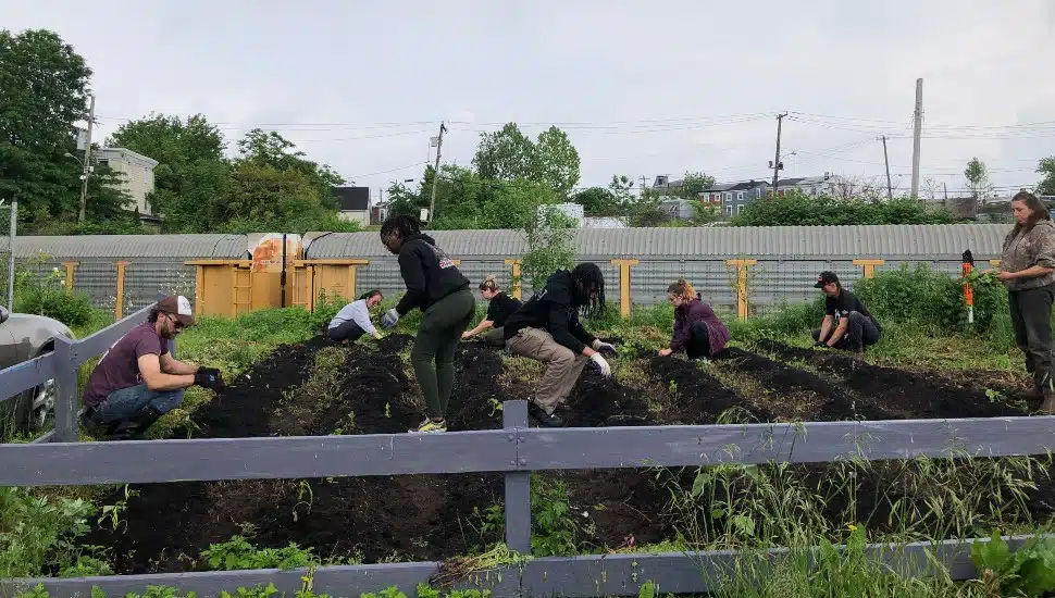 People working in a garden.