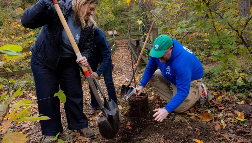 Two volunteers planting a young tree in a wooded area during a community event celebrating the 20th anniversary of the Trees for Watersheds Grant Program.