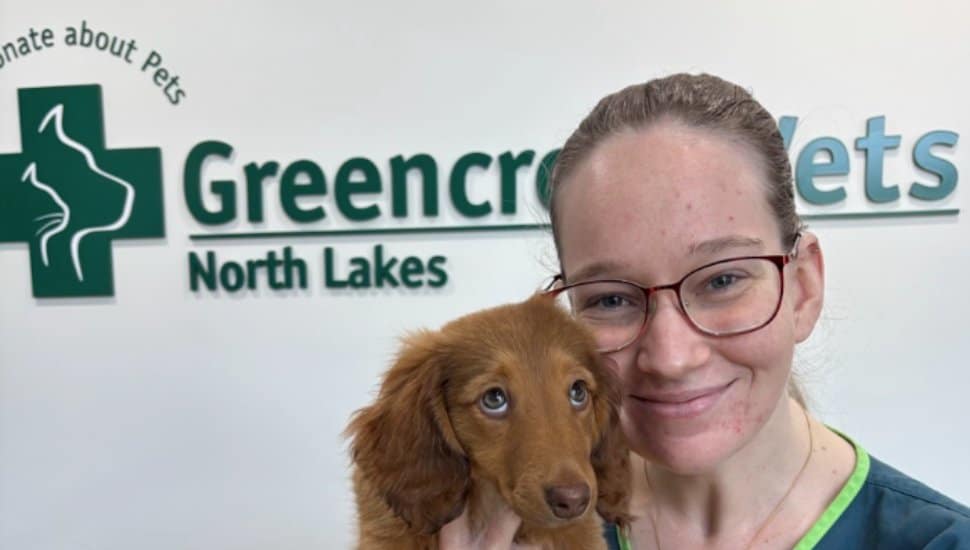 A Greencross Vet with their nurse.