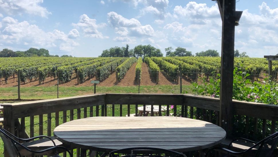 An outdoor patio table and scenic vineyards at Va La Vineyards.