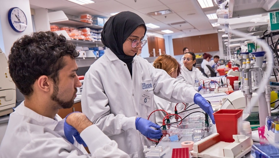 Wistar lab students.