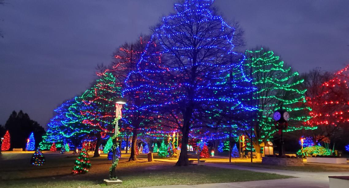 The trees of Rose Tree Park are aglow at the Festival of Lights in Media.