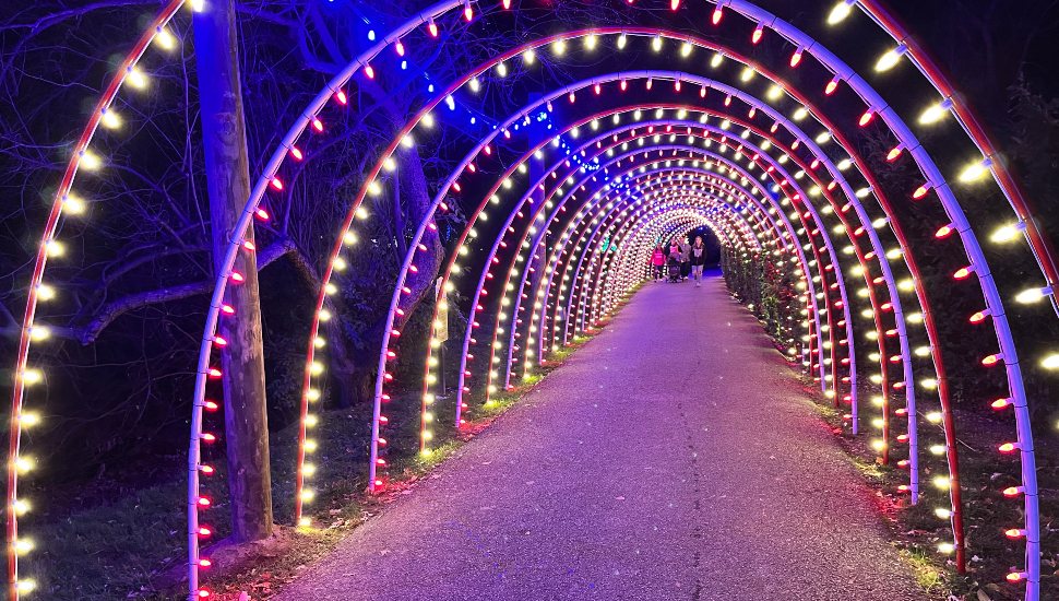 A glowing tunnel of red, white, and blue holiday lights curves over a paved walkway at night, creating a vibrant, immersive path. A few visitors walk through the illuminated arches in the distance, adding scale to the festive scene.