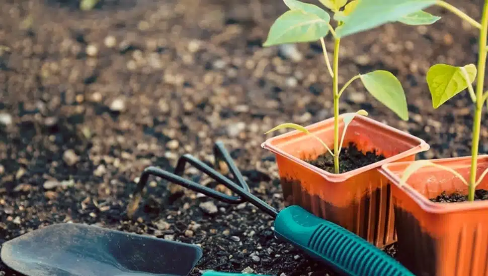 Shapiro Administration Awards 7 Philadelphia Organizations with PA Farm Bill Agriculture & Youth Grants