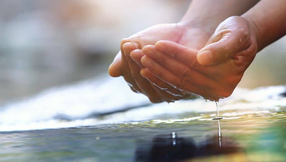 Person cupping water in hands.