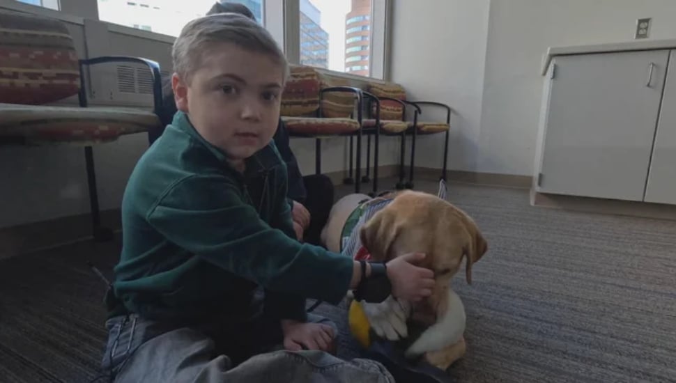 Child playing with his dog.
