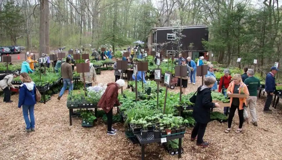 Bucks County Plant Nursery Ranked in the Top Ten in the Country by USA Today 