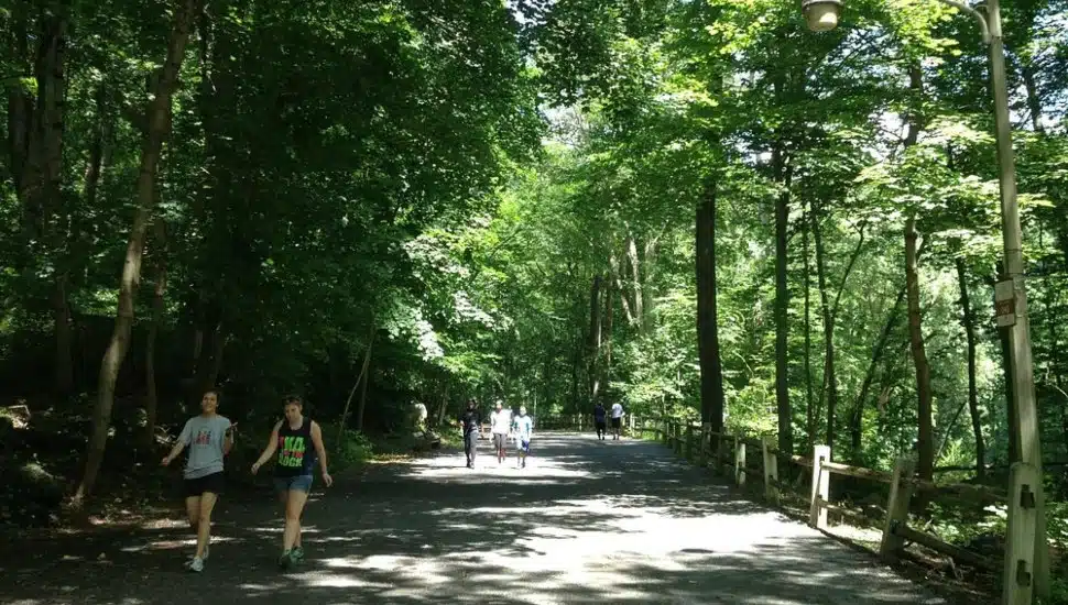 People walking near Wissahickon Valley Park.