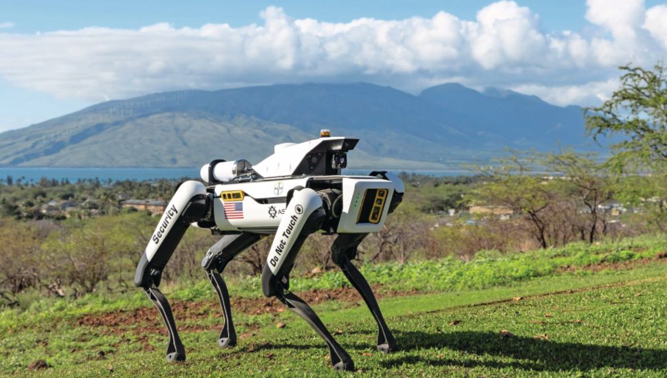 An Asylon DroneDog monitors a hillside.