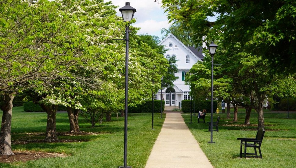 View of walkway on college campus in spring.