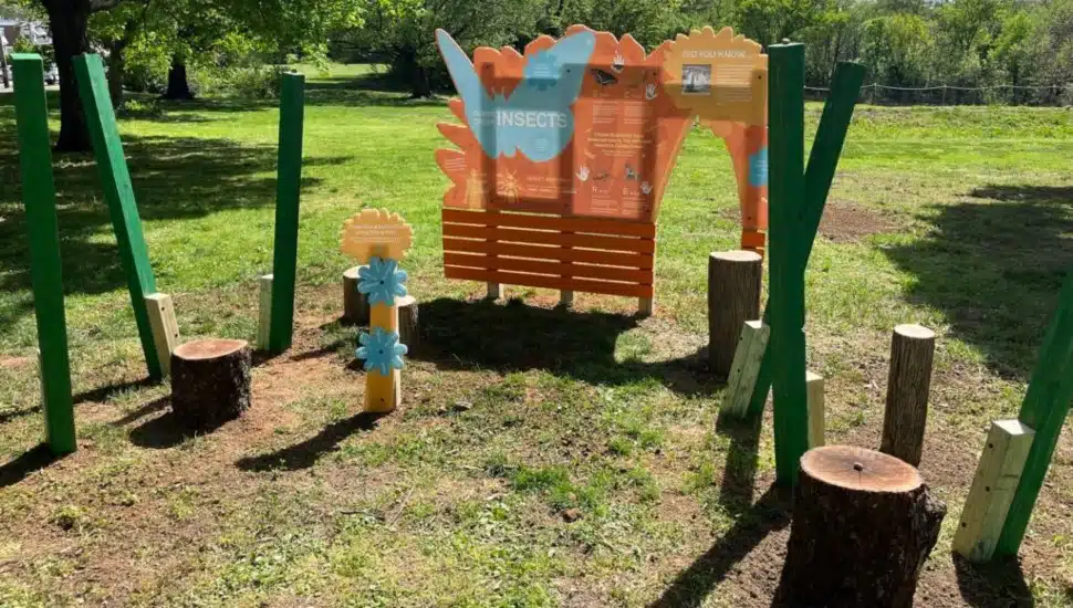 A Little Nature Playground in Cobbs Creek.