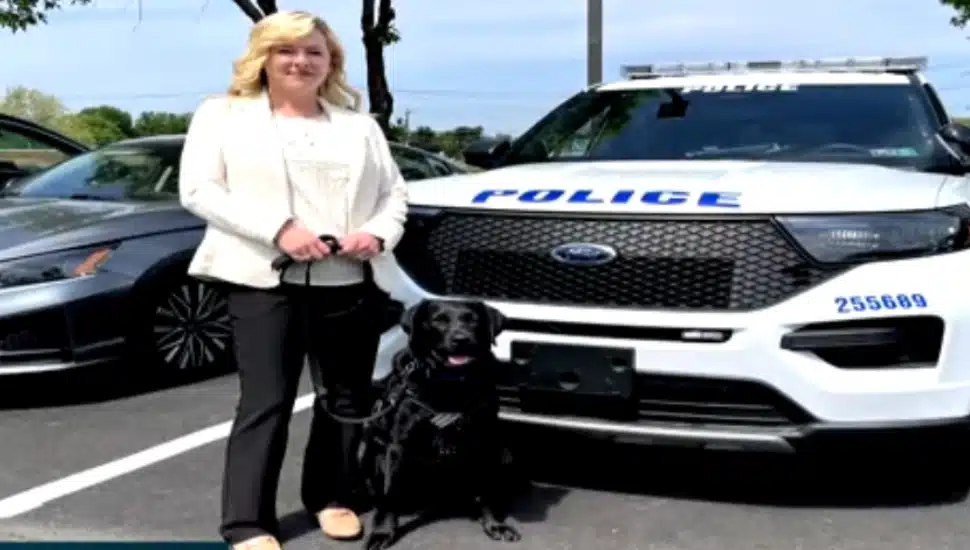 A female detective with a Black Labrador retriever standing by a squad car.