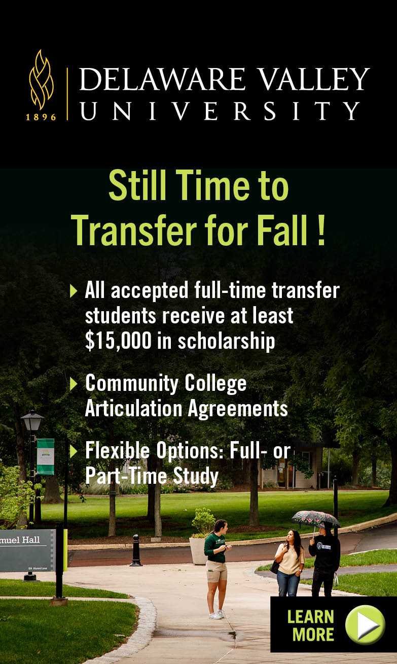 376x628 Transfer