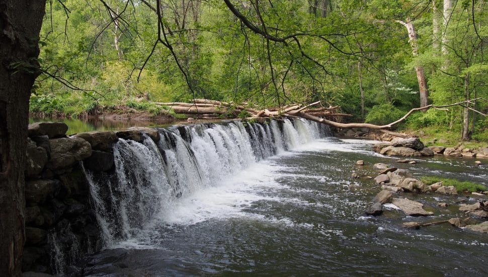 Ridley Creek State Park: The Ultimate Guide to a Summer Dayย Tripย in Delaware County