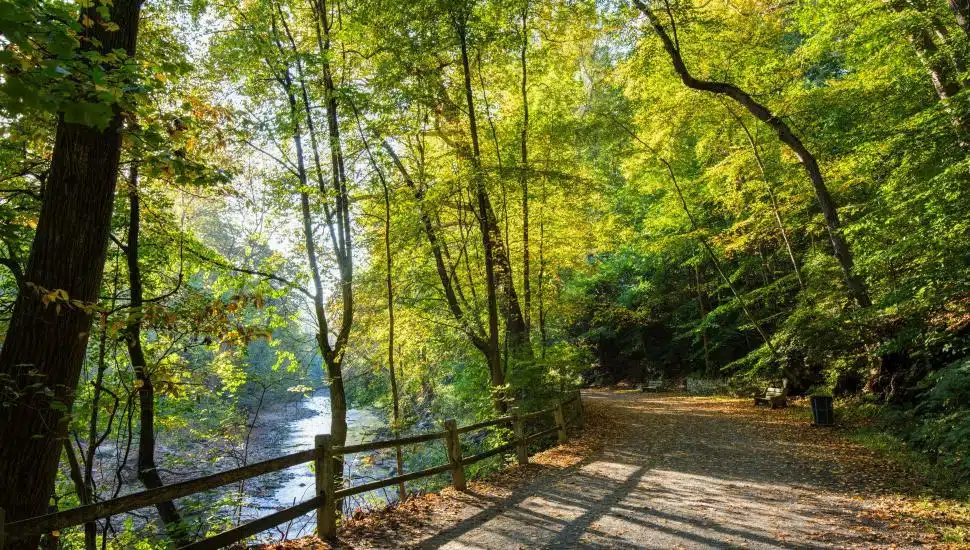 A tree-lined section of Forbidden Drive in Wissahickon Valley Park with sunlight shining onto the gravel trail beside Wissahickon Creek in Philadelphia.