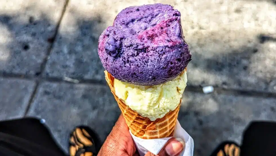 Popular Ice Cream in Philadelphia, One Neighborhood at a Time