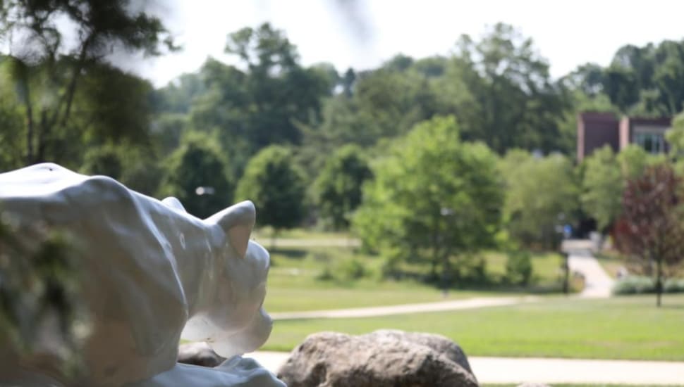 Your Future Starts With a Visit. Come See Penn State Brandywine This Summer