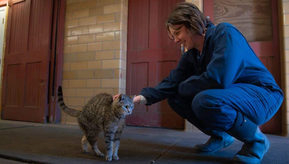 She Ran a Pretzel Shop. Then Manor College Helped Her Find Her True Calling in Veterinary Technology